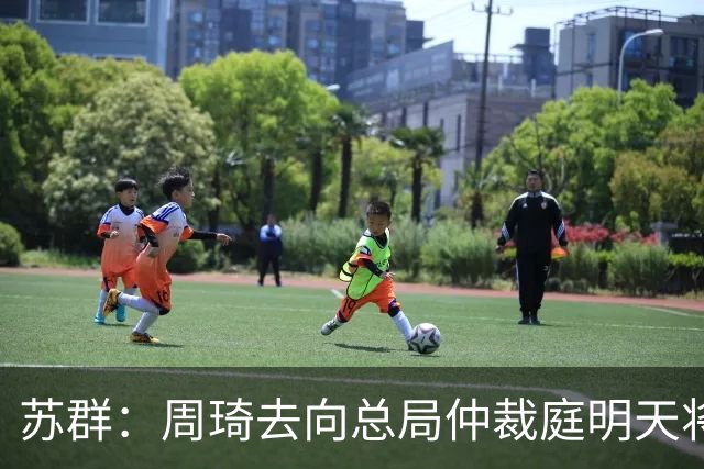 苏群：周琦去向总局仲裁庭明天将会给出结论